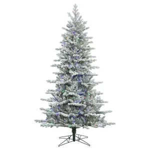 10' Frosted Eastern Fraser Fir Artificial Christmas Tree Colored Dura-Lit LED