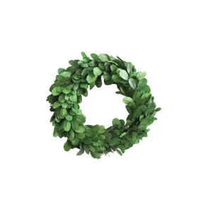 Preserved Boxwood Wreath - Small